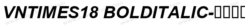 VnTimes18 BoldItalic字体转换